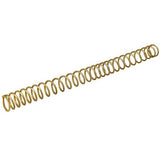 ICS M140 Spring